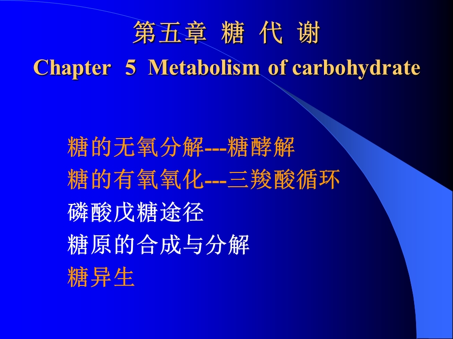 《生化糖代谢》PPT课件.ppt_第1页