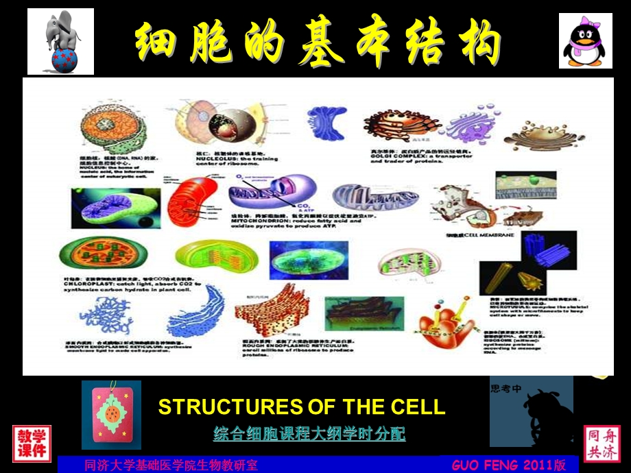 《细胞基本结构》PPT课件.ppt_第1页