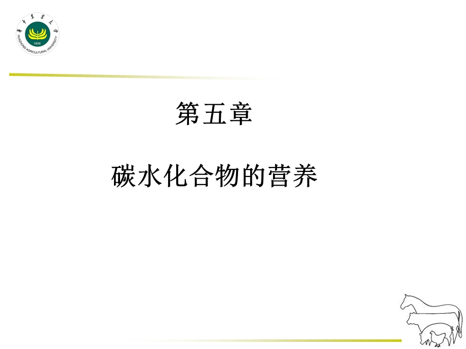 《碳水化合物营养》PPT课件.ppt_第1页