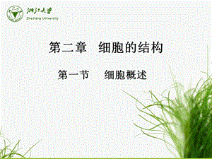 《细胞结构全》PPT课件.ppt