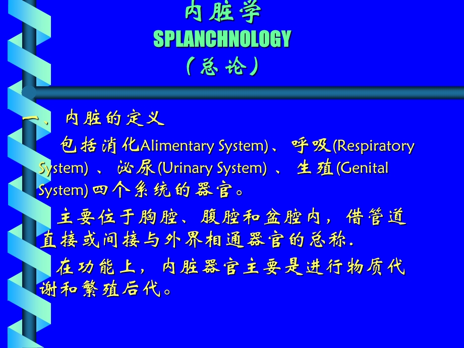 《消化系腹膜》PPT课件.ppt_第2页