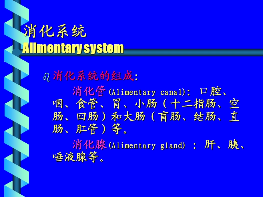 《消化系腹膜》PPT课件.ppt_第3页