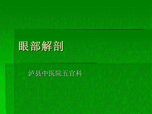 《眼部解剖》PPT课件.ppt