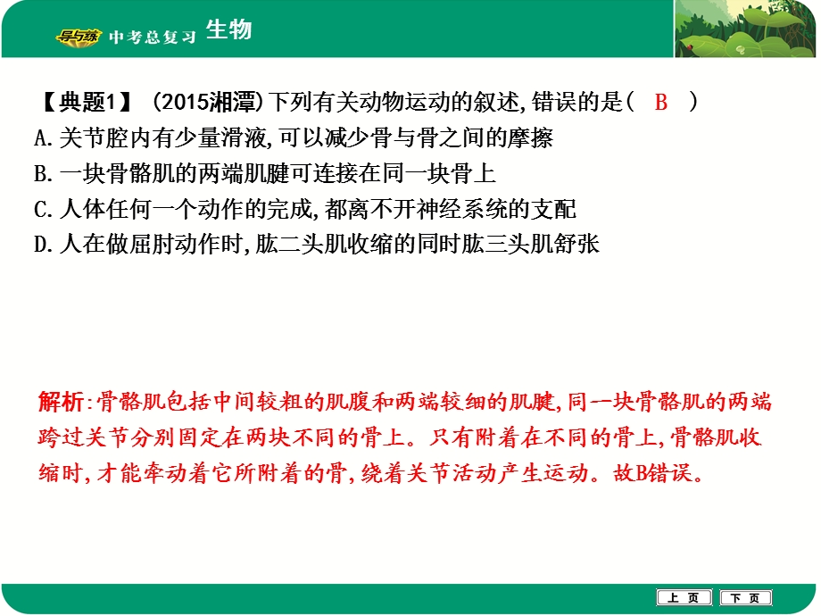 主题五 动物的运动与行为.ppt_第3页