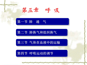 正常人体功能 05 呼吸feng.ppt