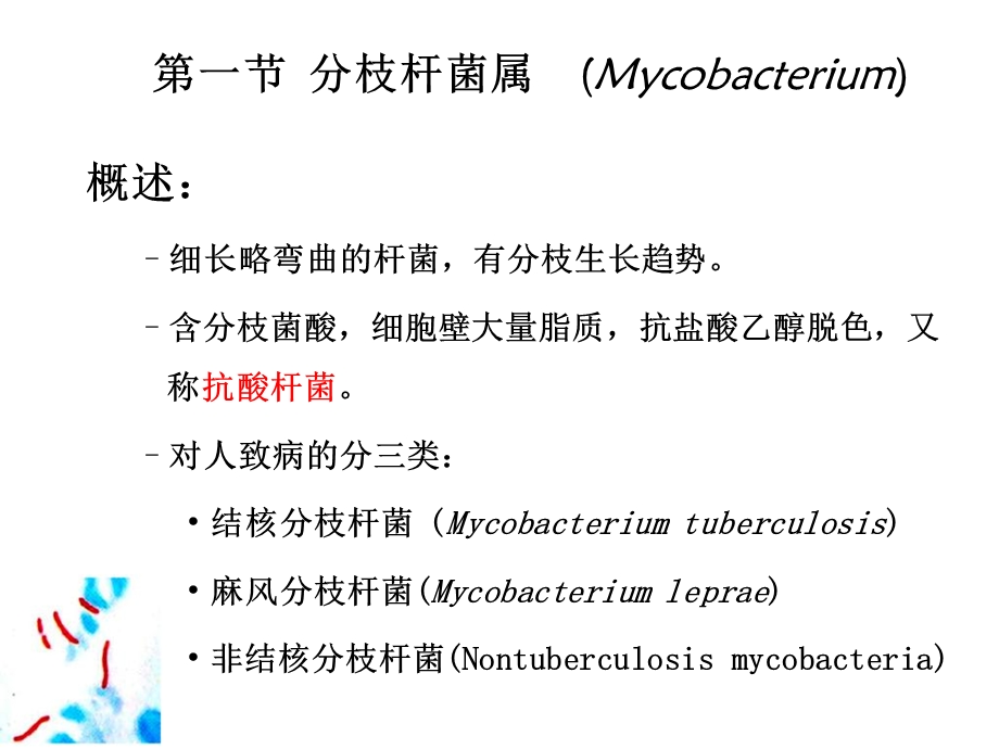 《呼吸道感染的细菌》PPT课件.ppt_第2页