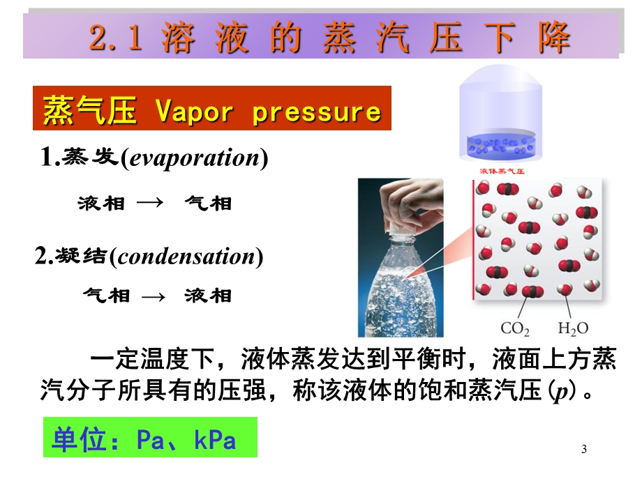 《稀溶液的依数性》PPT课件.ppt_第3页