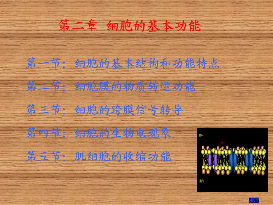 《细胞的功能》PPT课件.ppt_第1页