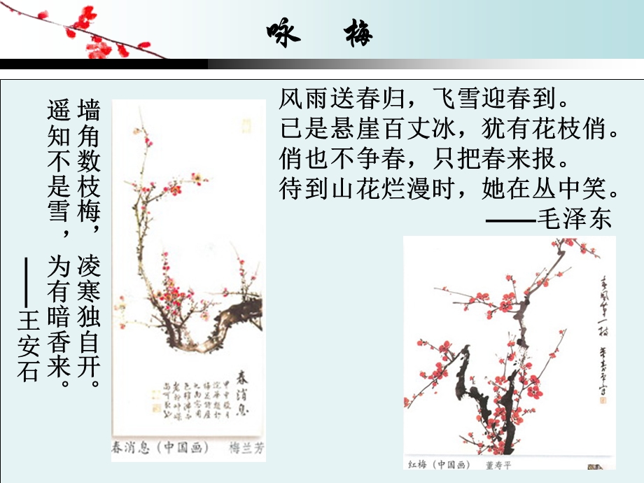 《美术学科梅花》PPT课件.ppt_第3页