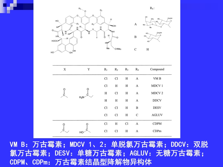 《糖肽类抗生素》PPT课件.ppt_第3页