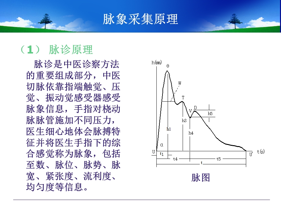 《中医体质辨识》PPT课件.ppt_第2页