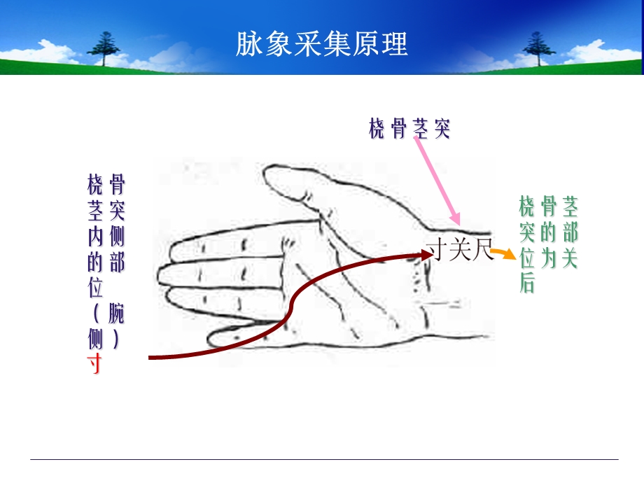 《中医体质辨识》PPT课件.ppt_第3页