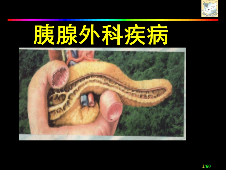 《胰腺外科疾病》PPT课件.ppt_第1页