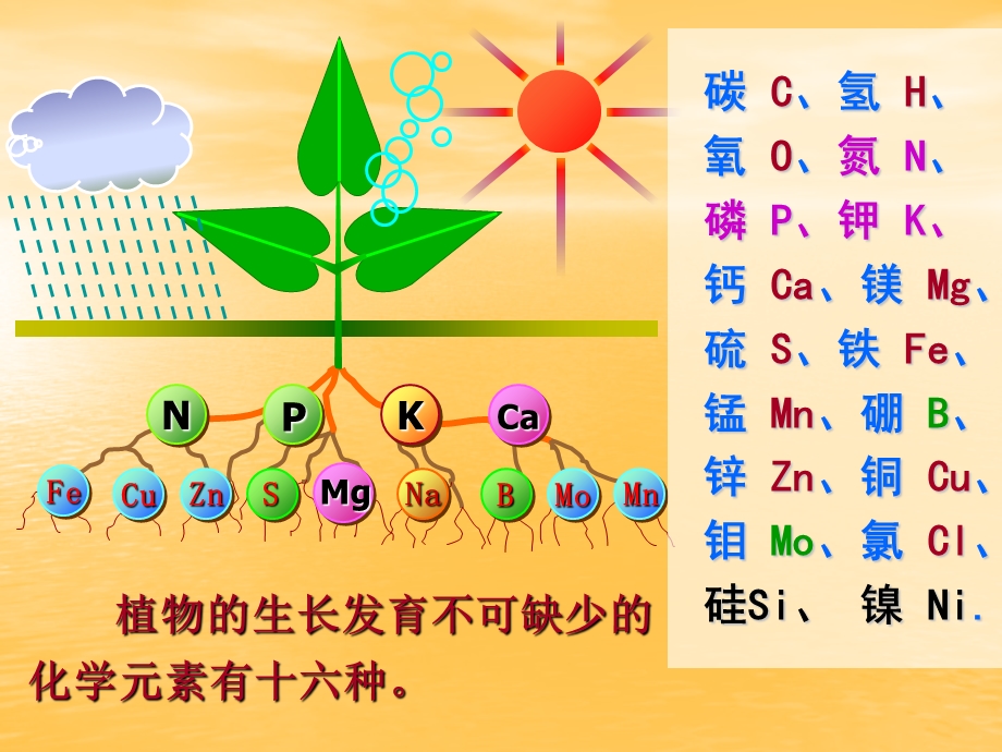 《肥料基本知识》PPT课件.ppt_第3页