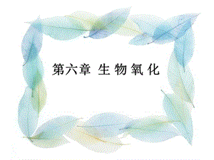 《生物氧化》PPT课件.ppt