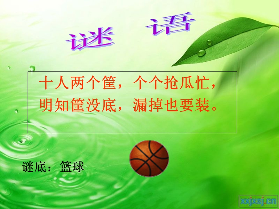 《篮球规则介绍》PPT课件.ppt_第1页