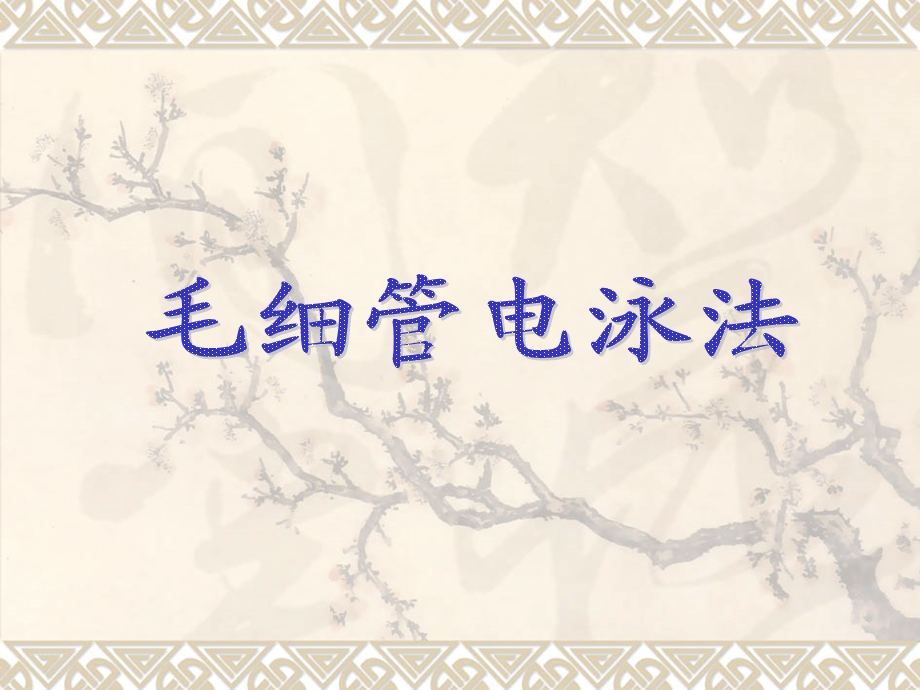 《毛细管电泳法》PPT课件.ppt_第1页