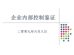 《内部控制鉴证》PPT课件.ppt