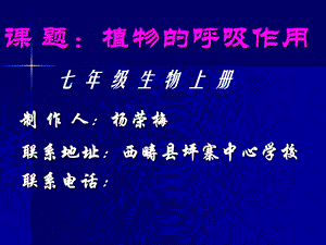 《植物呼吸作用》PPT课件.ppt