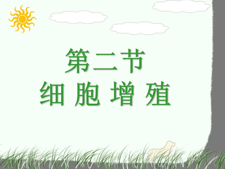 《细胞增殖》PPT课件.ppt_第1页