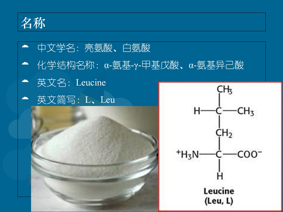 《氨基酸之亮氨酸》PPT课件.ppt_第2页