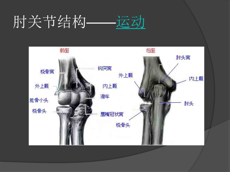 《肘关节松动术》PPT课件.ppt_第2页