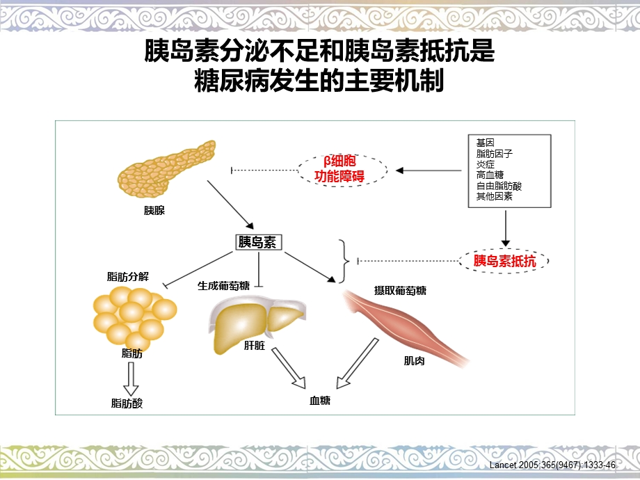 《糖尿病基础》PPT课件.ppt_第3页