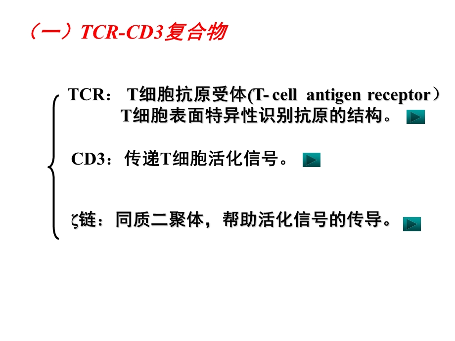 T淋巴细胞及其介导免疫应答.ppt_第3页