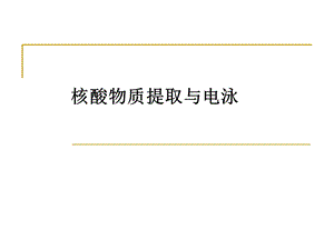 《核酸电泳》PPT课件.ppt