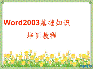 2014年Word基础教程PPT.ppt