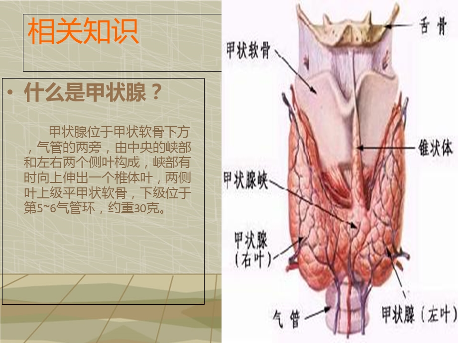 《甲状腺肿护理查房》PPT课件.ppt_第3页