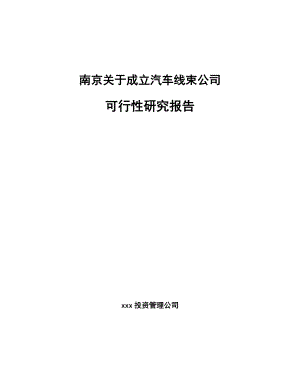 南京关于成立汽车线束公司可行性研究报告参考模板.docx