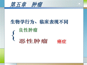 《病理学肿瘤》PPT课件.ppt