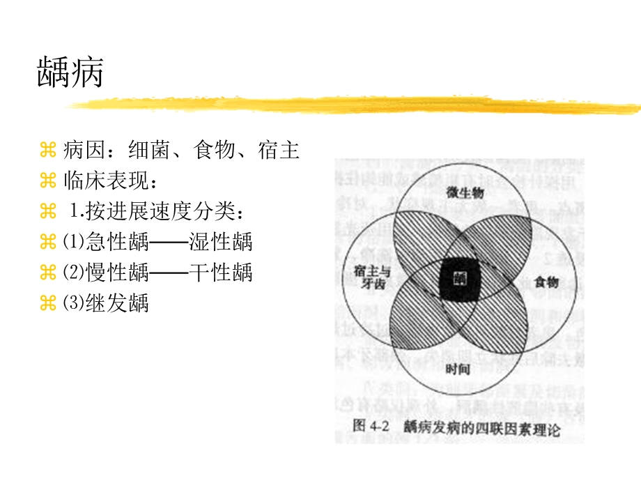 牙体常见病.ppt_第3页