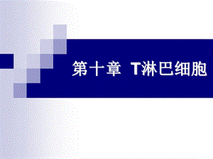 《淋巴细胞》PPT课件.ppt