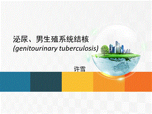 《查房泌尿系结核》PPT课件.ppt