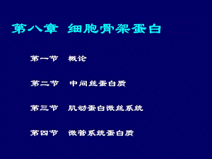 《细胞骨架蛋白》PPT课件.ppt