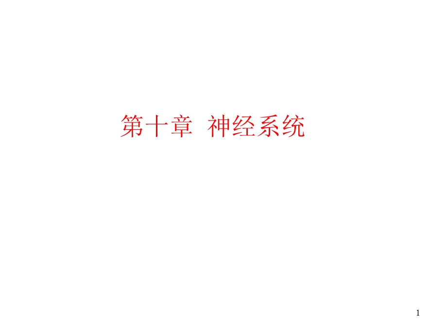 《神经系统教学》PPT课件.ppt_第1页