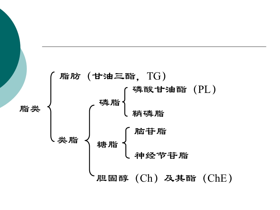 脂类的代谢.ppt_第3页