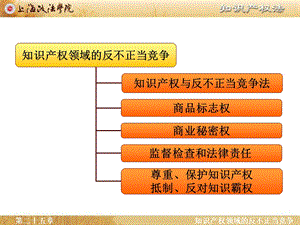 《知识产权领域》PPT课件.ppt