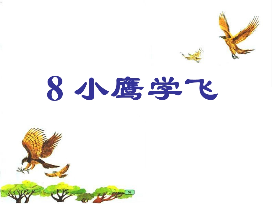 2017春北京版语文一年级下册第5课《小鹰学飞》课件.ppt_第1页