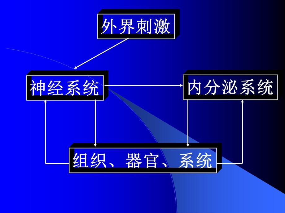 《组织器官系统》PPT课件.ppt_第1页