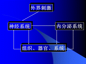 《组织器官系统》PPT课件.ppt