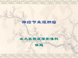 《神经节来源肿瘤》PPT课件.ppt