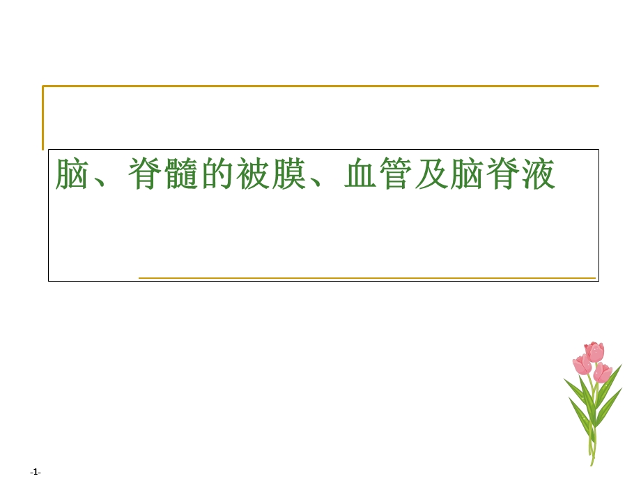 《脑膜脑血管》PPT课件.ppt_第1页