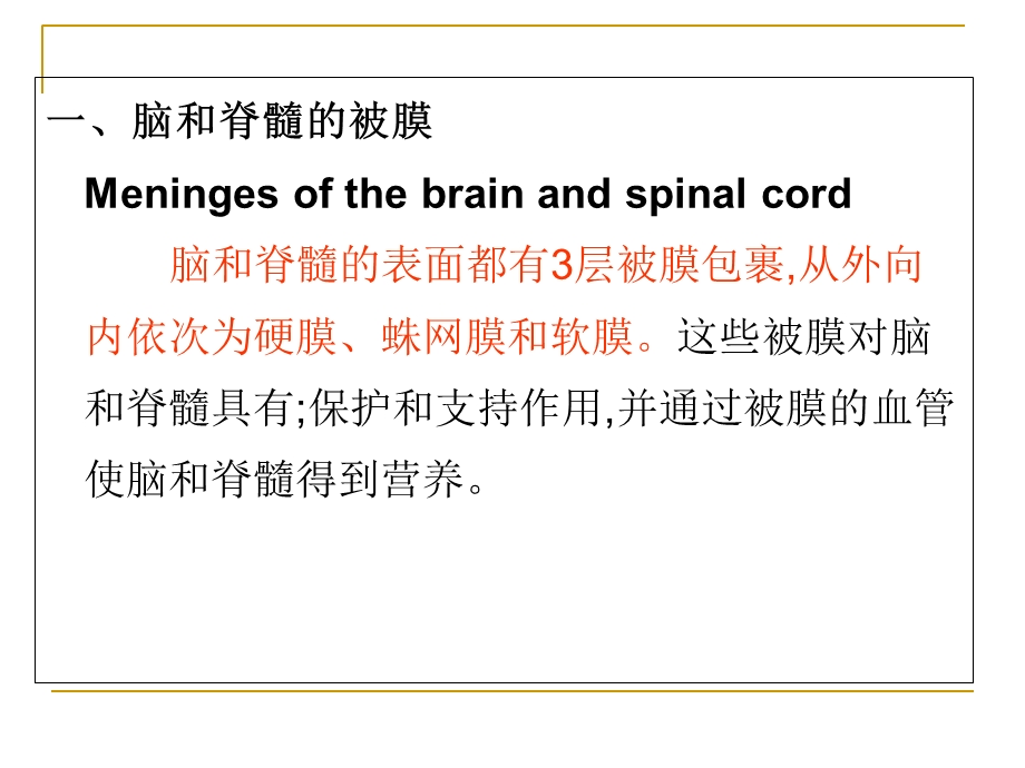 《脑膜脑血管》PPT课件.ppt_第3页