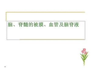 《脑膜脑血管》PPT课件.ppt