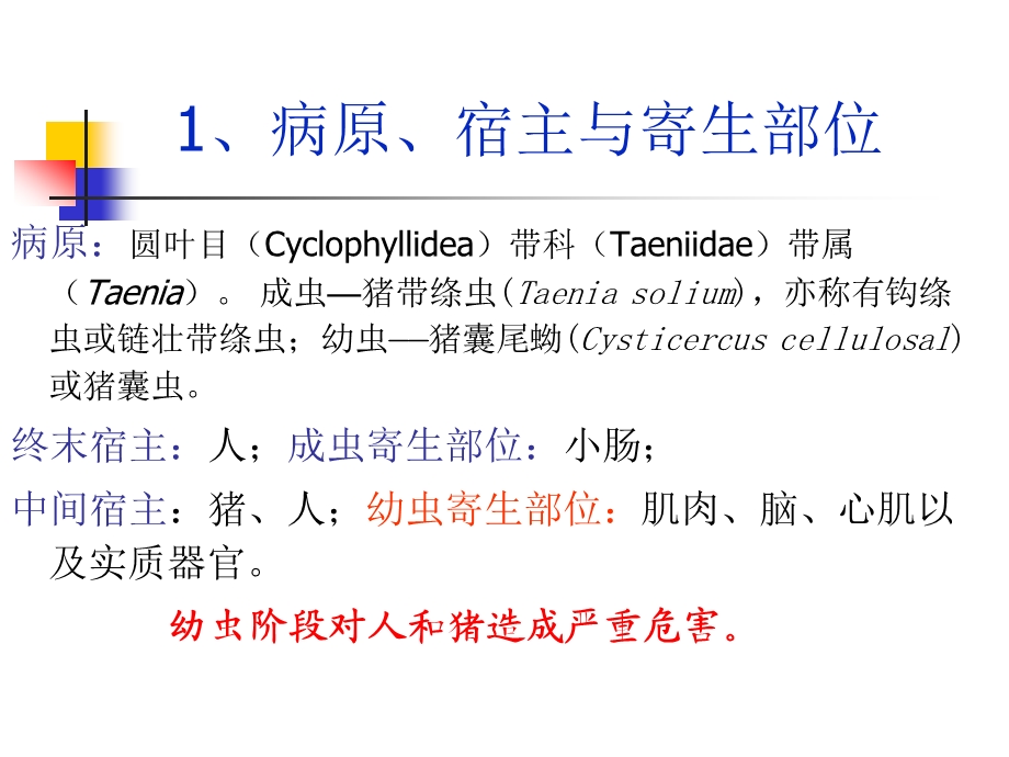 绦虫病 带绦虫蚴病.ppt_第3页