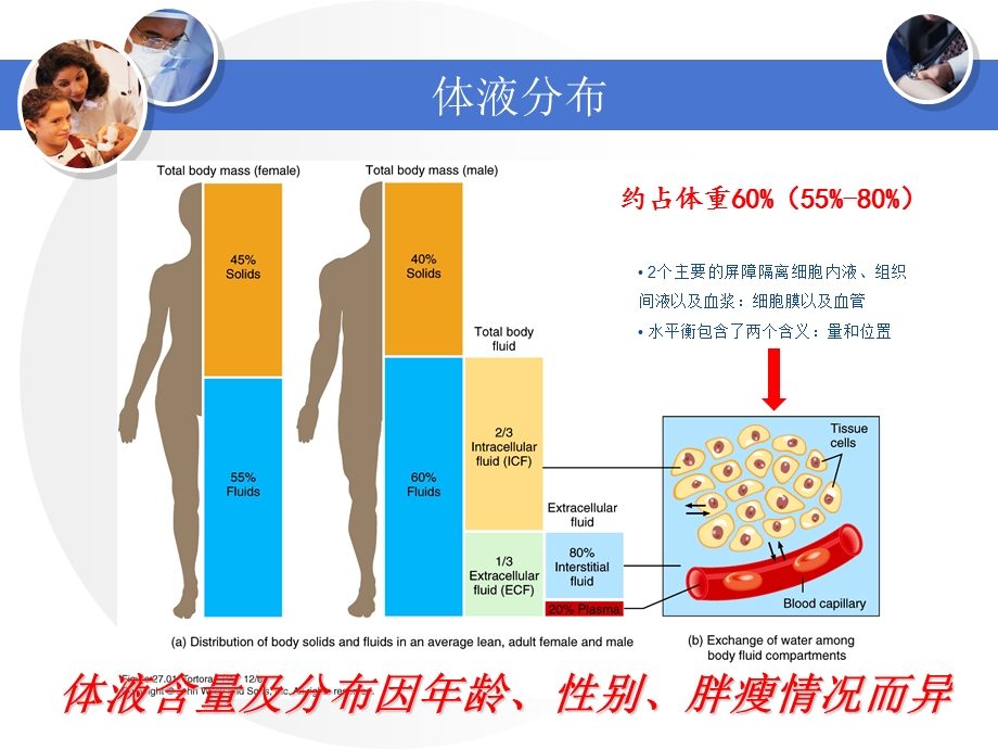 《液体治疗思考》PPT课件.ppt_第3页