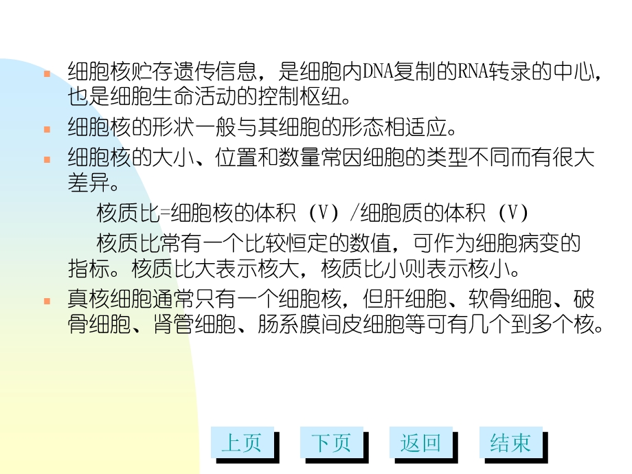 《细胞核多媒体》PPT课件.ppt_第3页